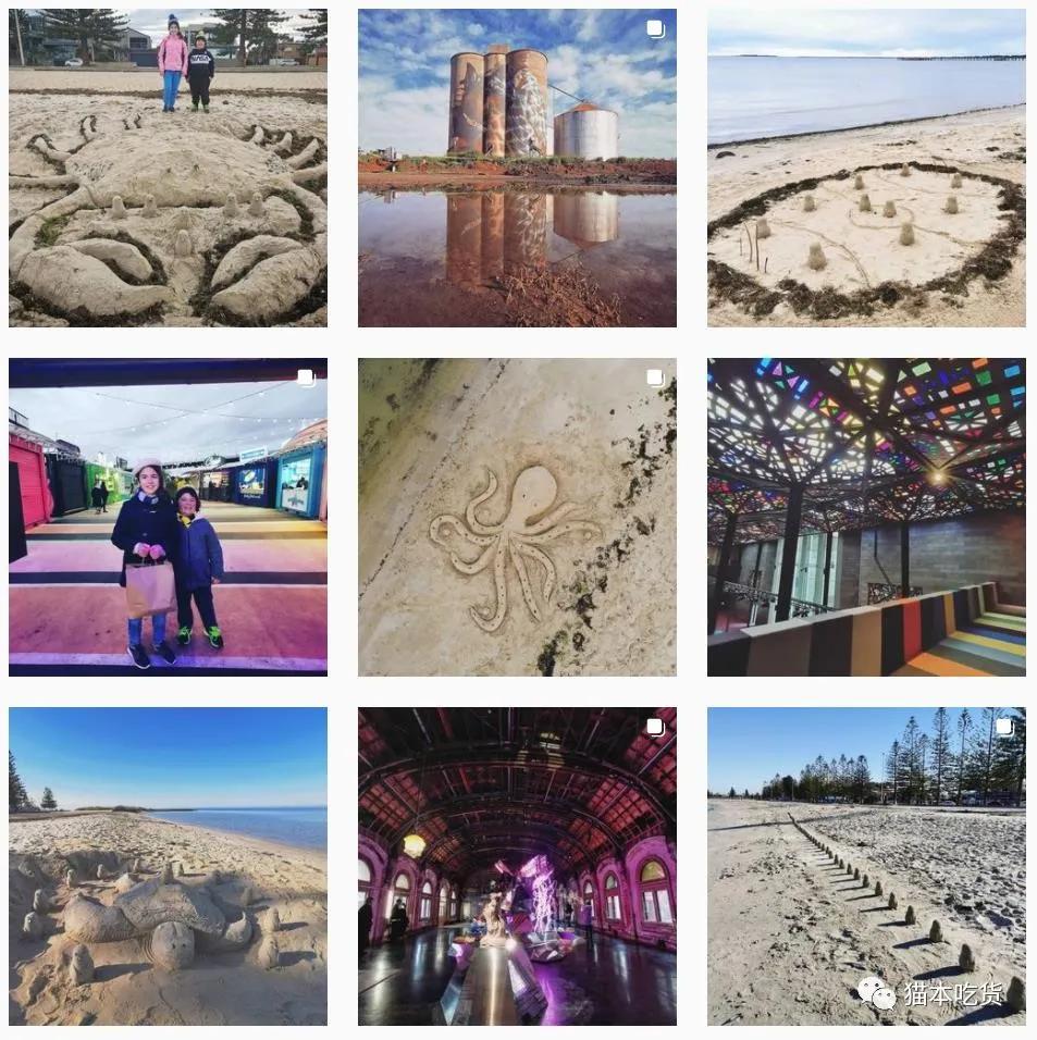 墨尔本两只相互依偎的企鹅,澳大利亚墨尔本看企鹅