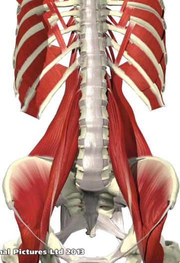 腰椎间盘突出你了解吗,腰椎间盘突出症的科普问答