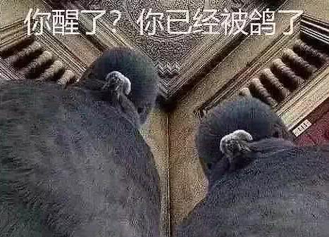 潮流圈里，其实大家都是贩子你就别装了！