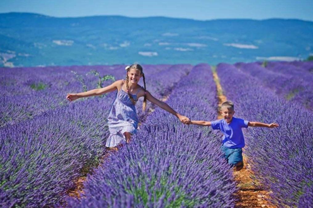 旅行策划师旅游行程单,史上最强欧洲旅行攻略
