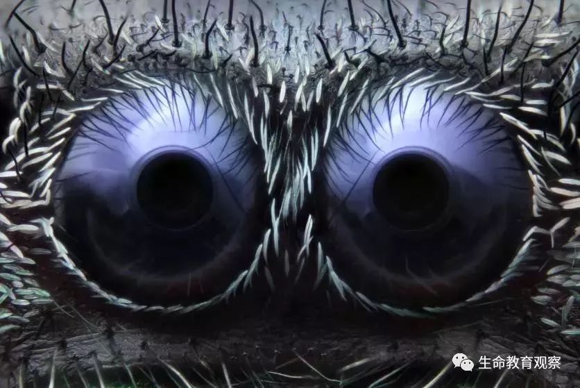 看完后，整个人都有点不对劲了（传播生物知识）