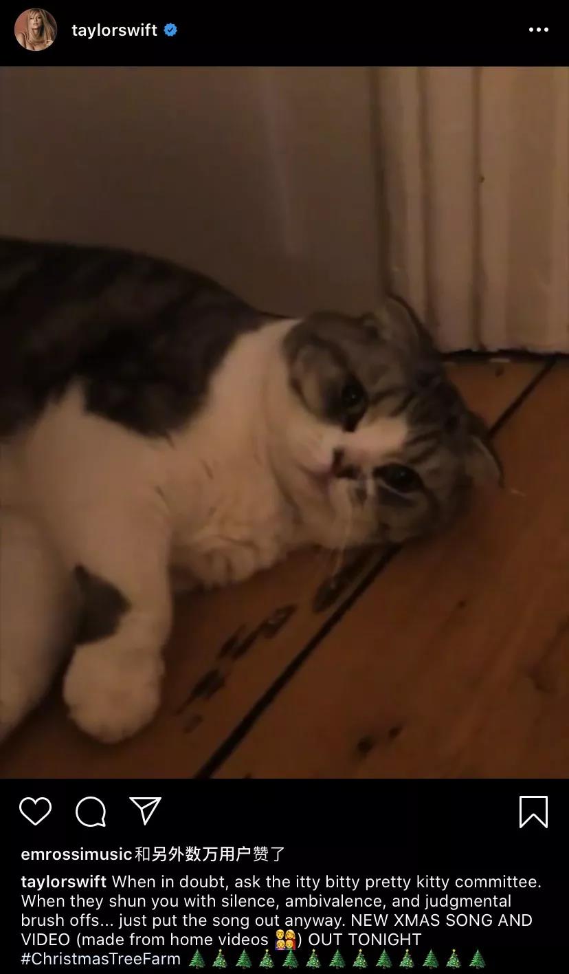 「JALOUSE」有一说一，我确实馋他们的身子