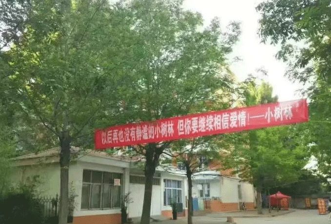 高校走心毕业标语惹哭网友,高校走心毕业季标语惹哭网友