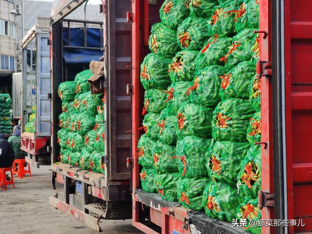 今日上海江桥带壳鲜蚕豆批发价,上海江桥蔬菜批发市场运输蚕豆