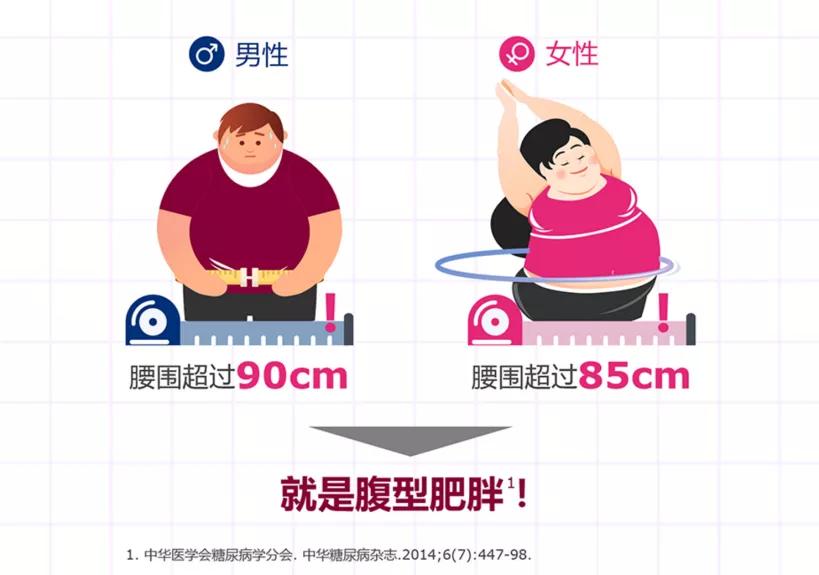 肥胖与腹型肥胖的健康指导,胖纸的优势