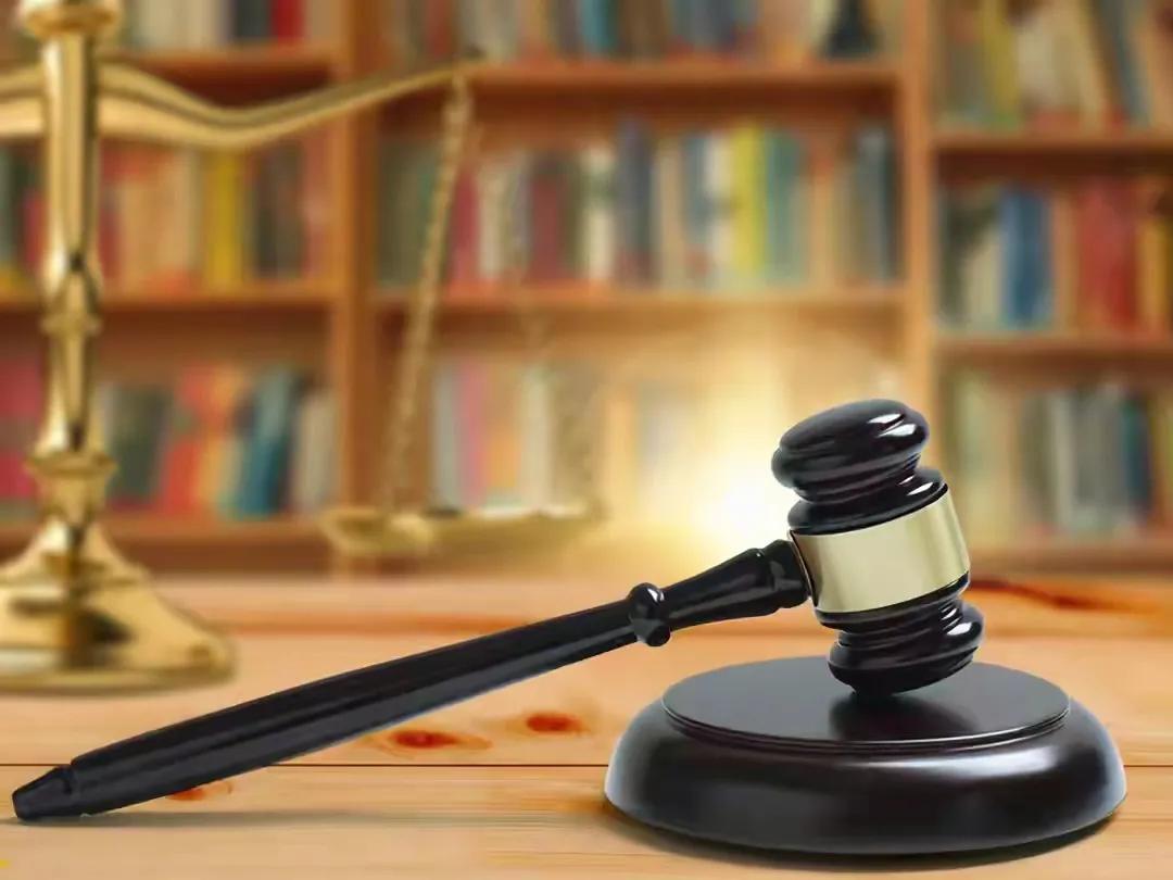 民法典有关于养狗的条款吗,养狗不牵绳犯法吗民法典明确了