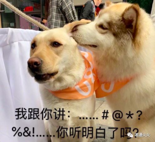 普通人每天八卦多长时间,普通人的八卦有多惊人