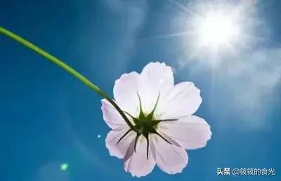 职场和生活的付出与回报,吃亏是福正确吗