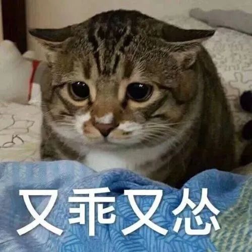 师父我要跳舞了第一季免费观看,师父我要跳舞了第二季最后一期