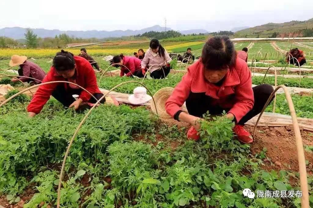 红川镇：在田间地头检验学习效果