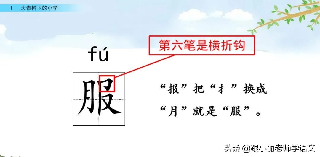 大青树下的小学重点知识点,大青树下的小学重点知识梳理