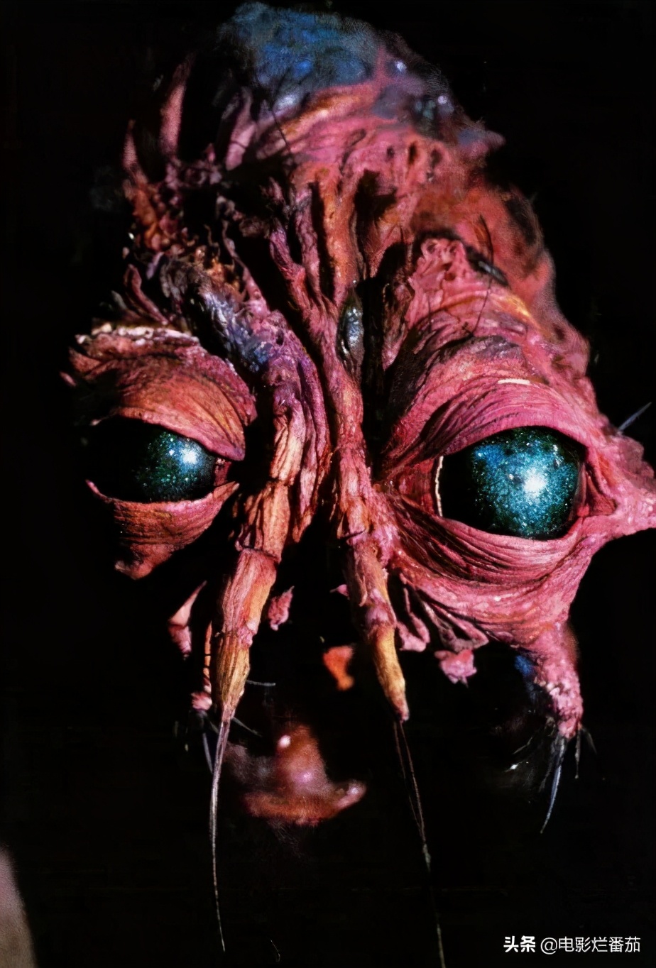 36年前的鬼片,36年前的悬疑惊悚电影