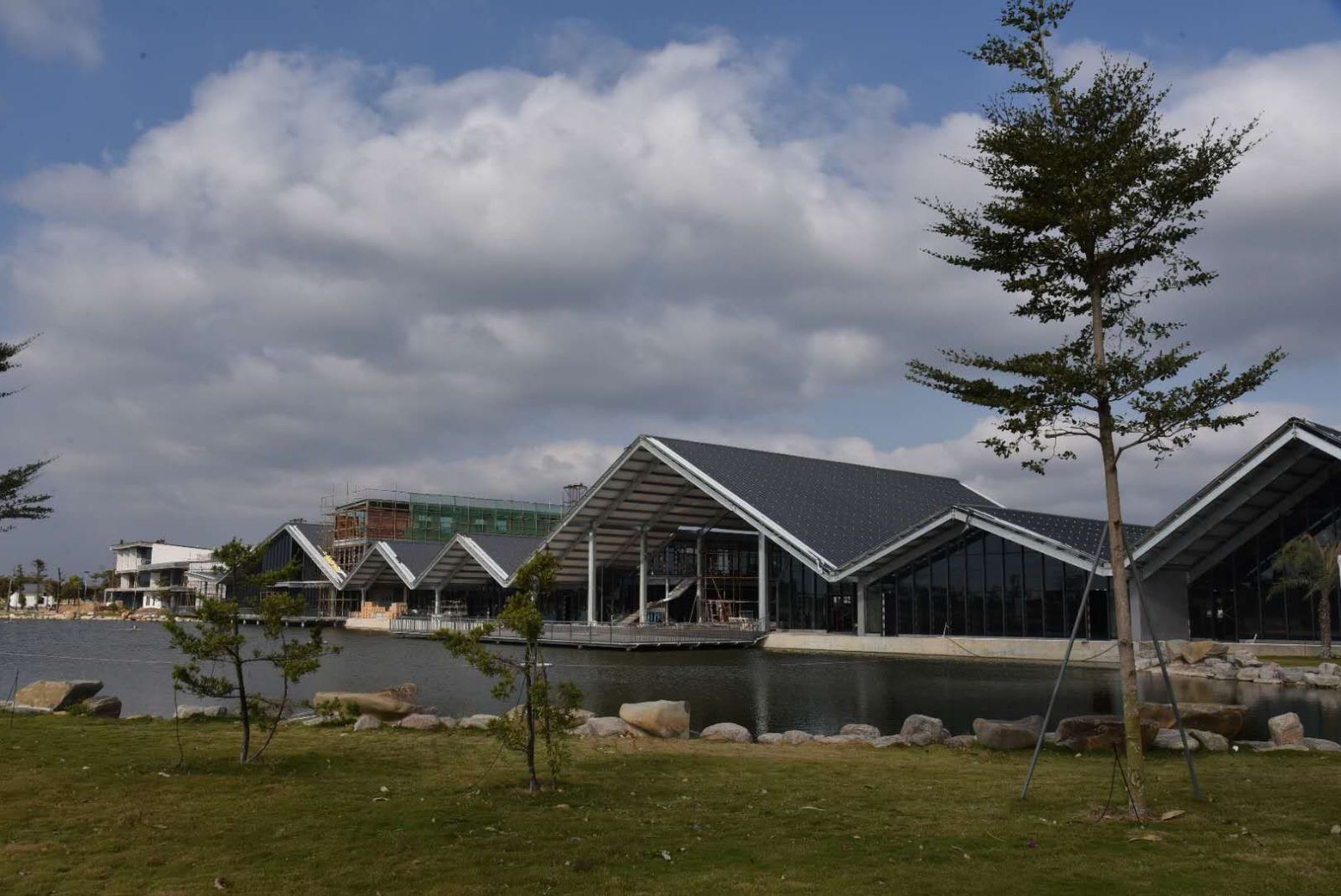 潮南区|智能农场养出“生态猪”，带动近千户农户增效增收