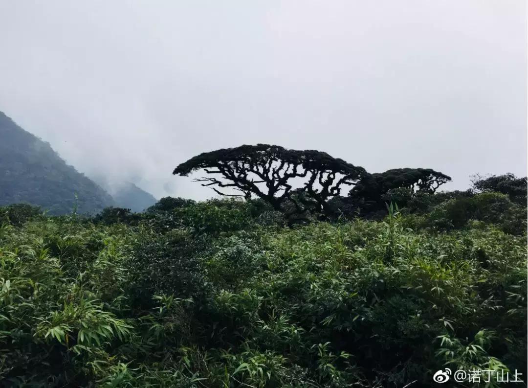 成都坐动车直达这片原始秘境！深幽峡谷、云海奇观、罕见古村…带你逃离夏天！