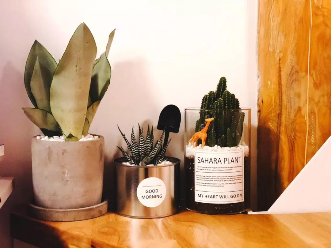 广州90后小夫妻爆改47平方二手房,北京老破小30平米小户型改造