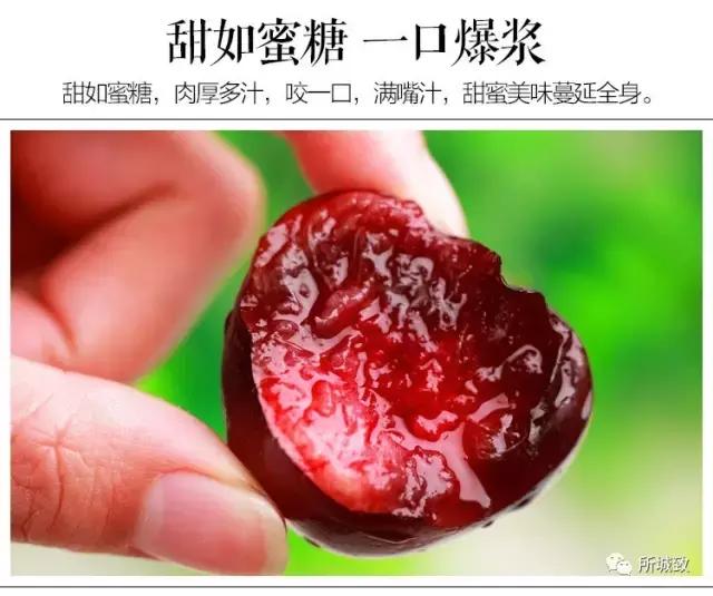 烟台樱桃季，烟台地区共产出22万吨，也就是440000000斤大樱桃