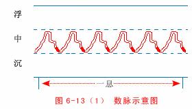 中医把脉入门必背口诀翻译,把脉入门必背口诀粤语版