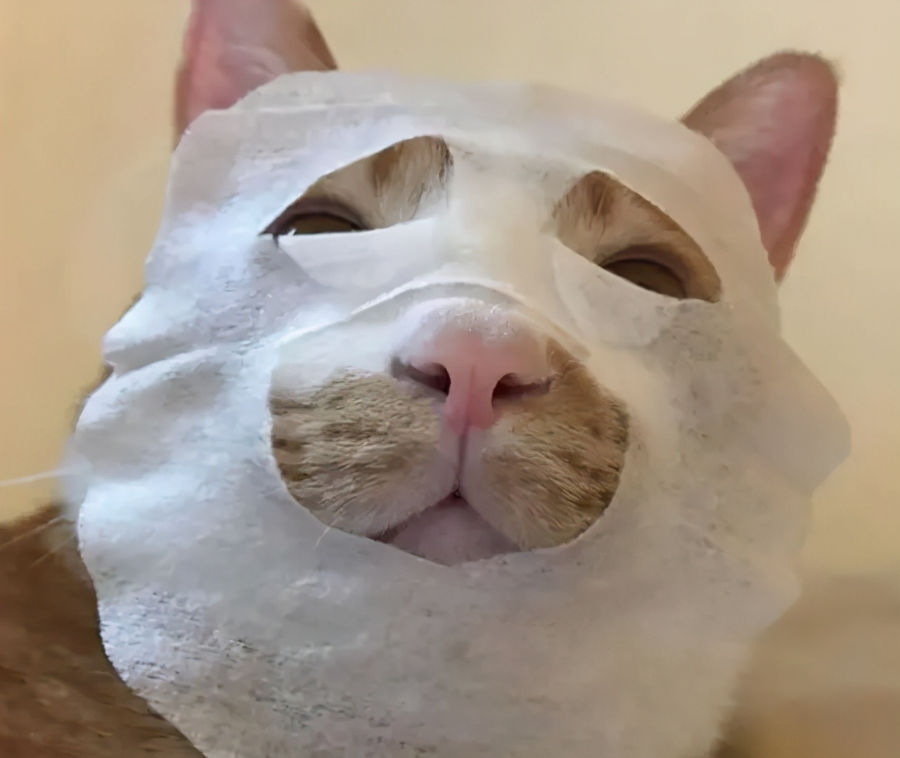 皮肤出油怎么办三招还你清爽肌肤,皮肤出油长痘怎么控油