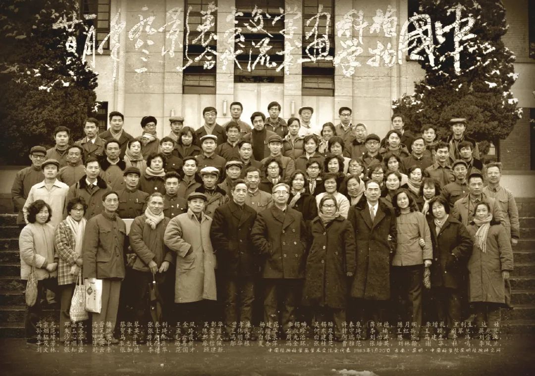 濒危稀有植物绘画,八大濒危珍稀植物