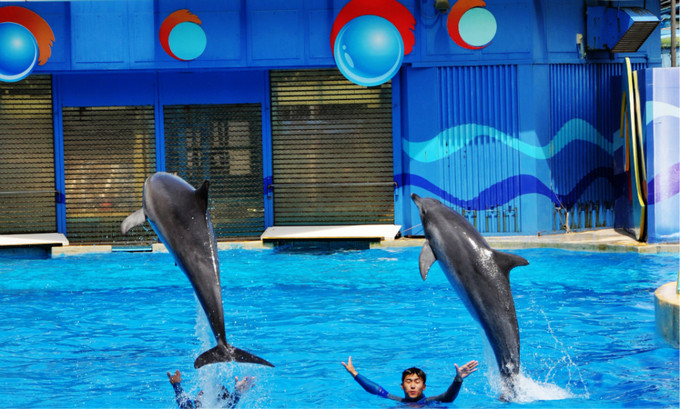 香港旅游亲子哪里玩,香港亲子游最佳攻略