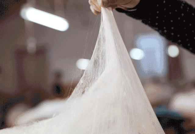 蚕丝的内幕,蚕丝被内幕曝光