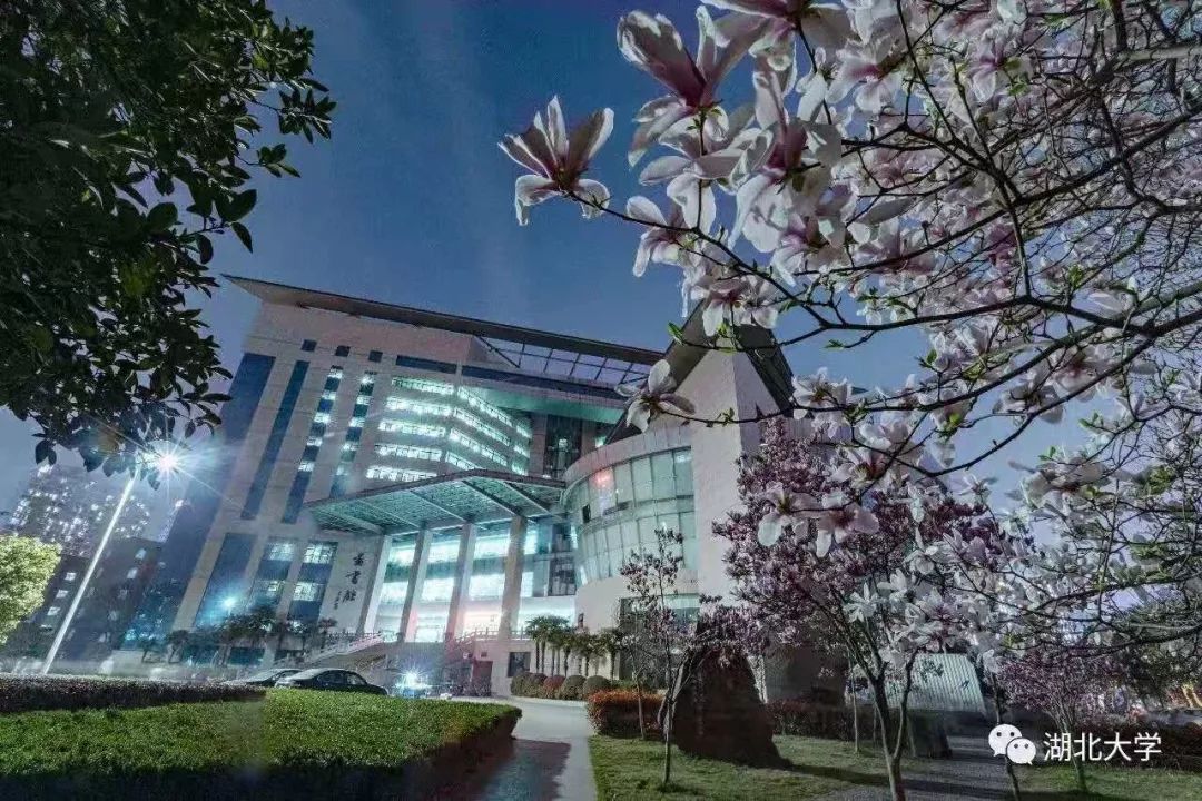 2023年考研报考人数继续飙升,考研关注