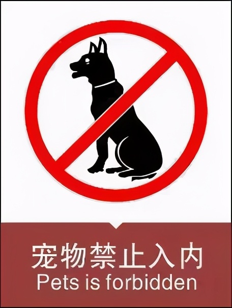 携犬,带狗进超市撞人怎么处罚