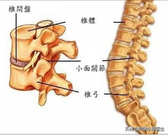 腰椎间盘突出和骨质增生怎样缓解,抗骨质增生片对腰间盘突出有效吗