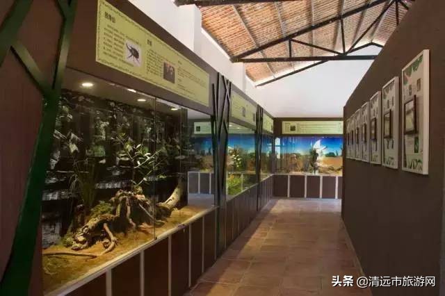 寒假亲子游推荐4-5天游,暑假亲子游玩地点推荐3天2夜