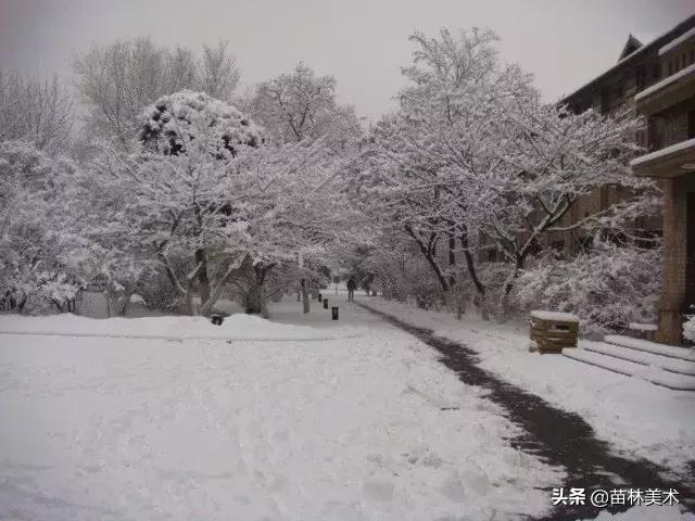 为什么好多人要上大专,为什么一定要上美院