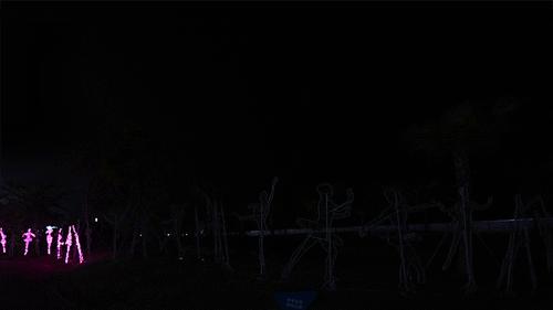 熊猫来永庆坊,鹰潭大熊猫
