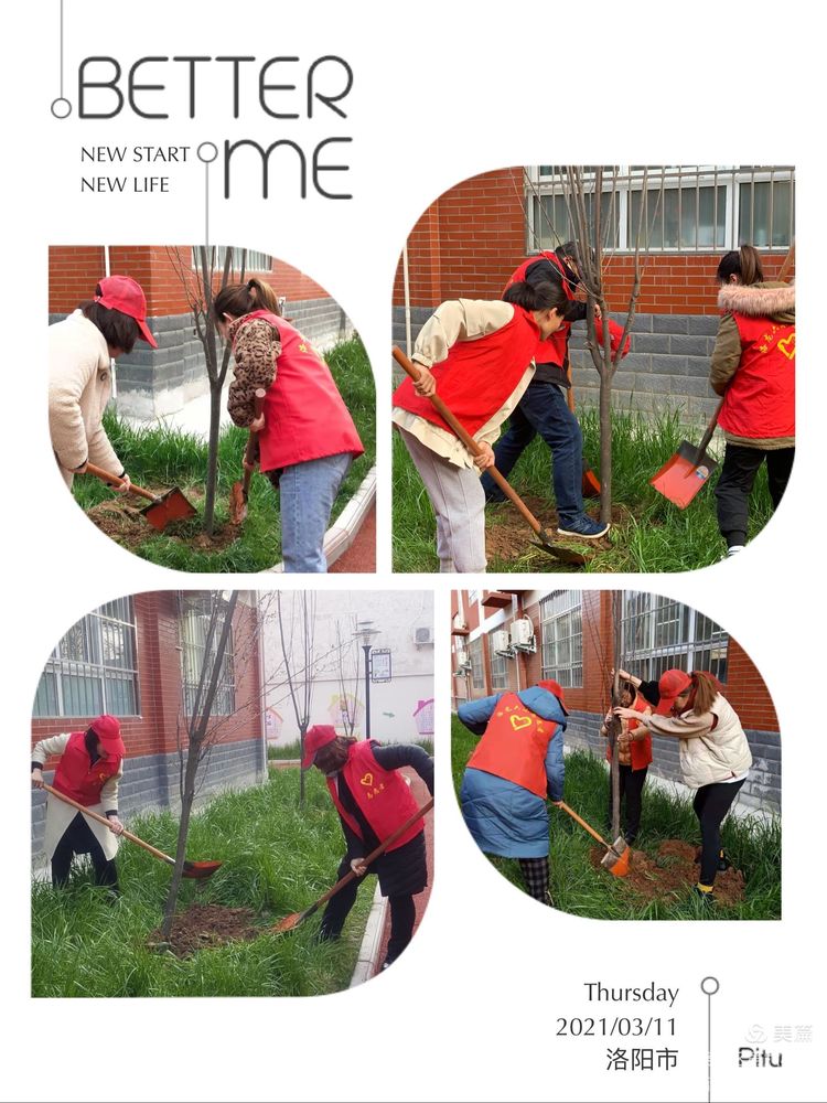 植树节拥抱春天播种绿色放飞希望,2022年植树节主题拥抱春天