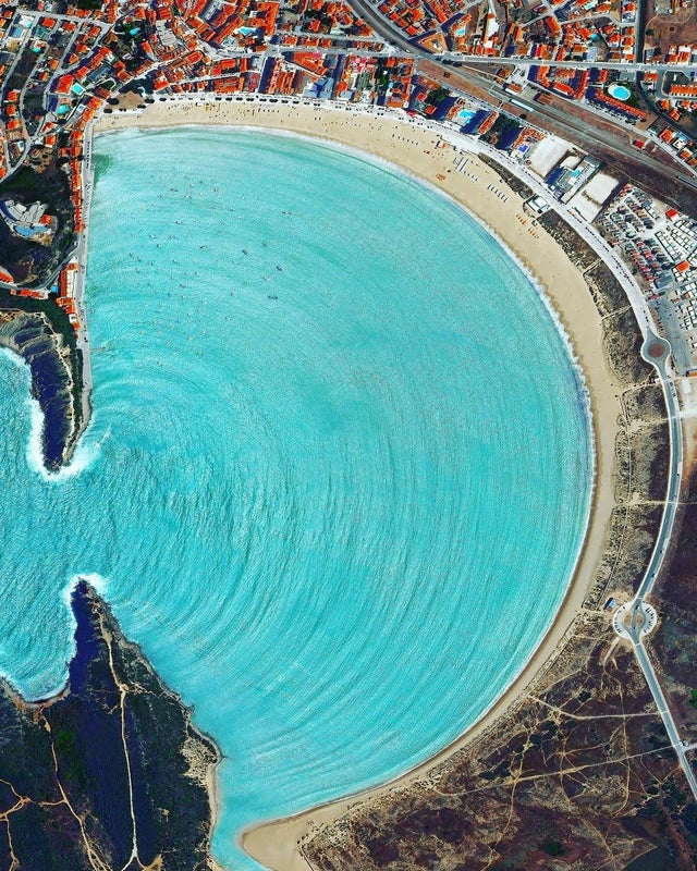 电鳗鳄鱼同归于尽,鳄鱼与电鳗同归于尽