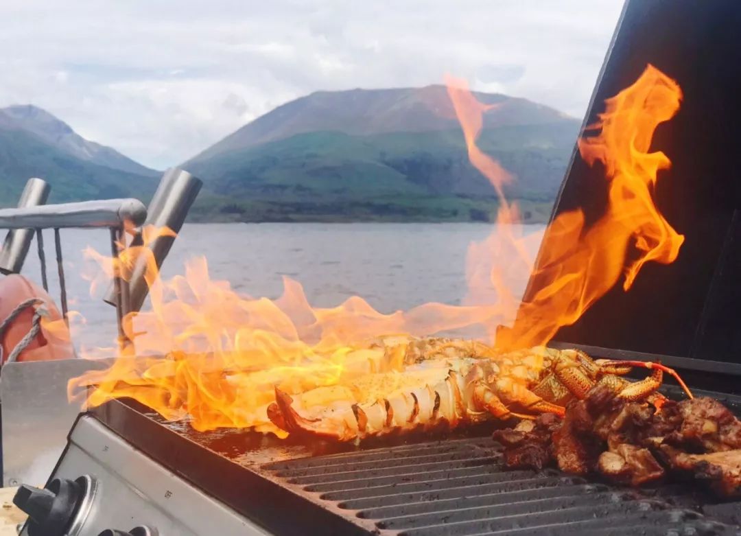 中国小伙去新西兰却横扫对手获得冠军，每份食材在手上都是艺术品