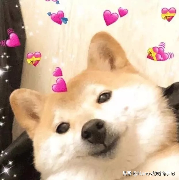 秋冬裤子真实测评,冬季九分打底裤推荐真实测评