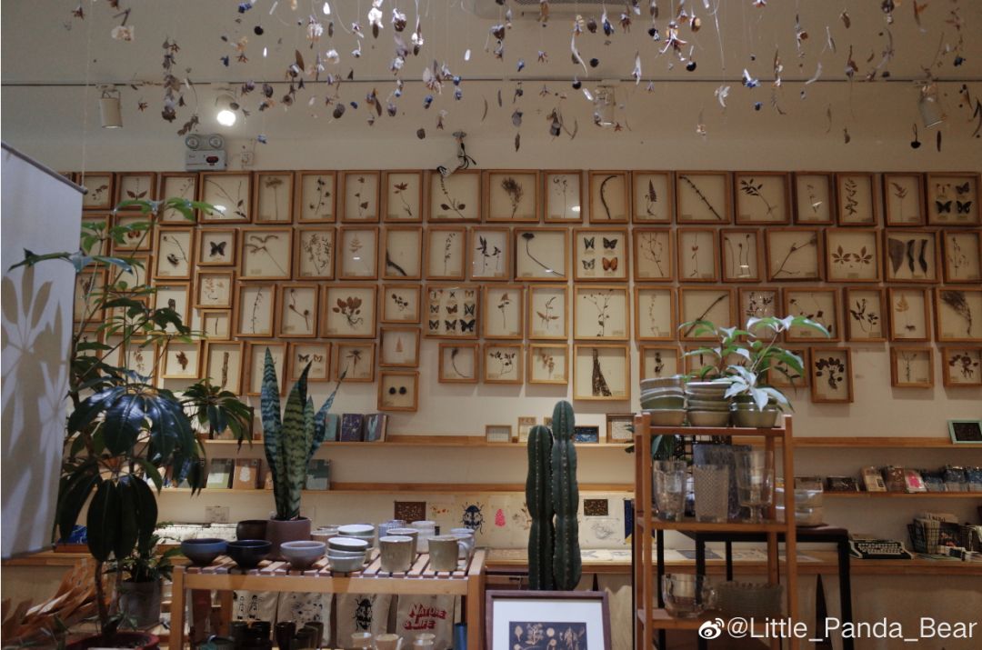 成都68岁机车厂变花园，工业风爱好者快来打卡