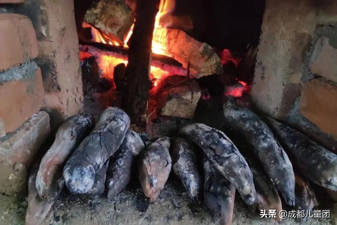 土地四季·禾下乘凉丨给孩子的大地课堂，在自然中自然生长