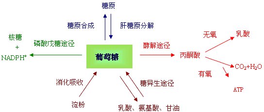 有关于生酮饮食的文章,生酮饮食治疗儿童癫痫成功率高吗