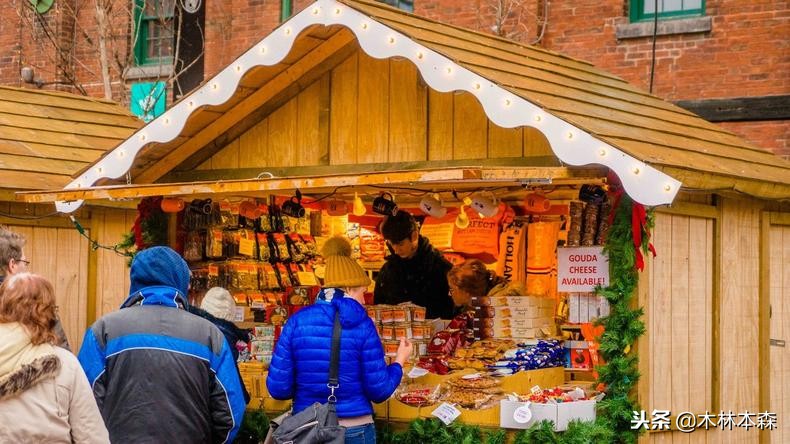 加拿大旅行日记,多伦多最佳生活日记