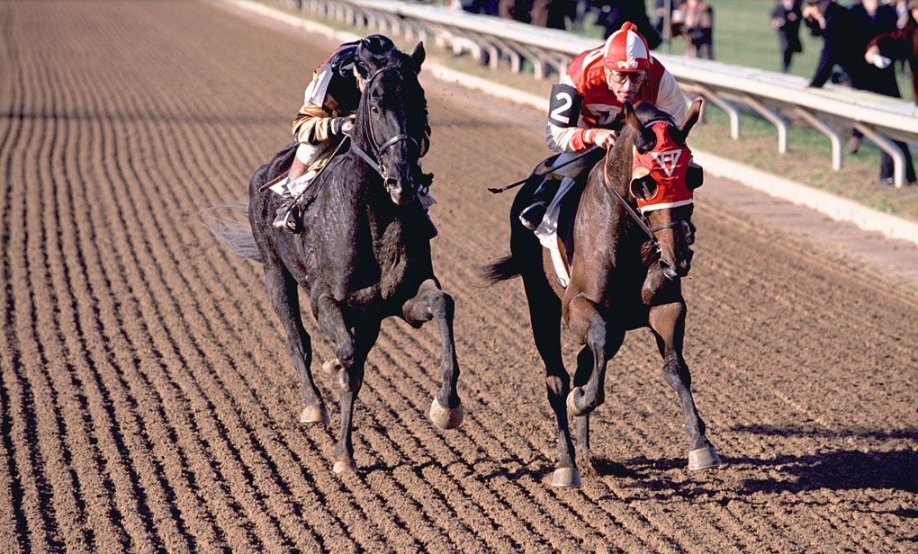 世界电影好评排行榜,精彩奥运电影推荐