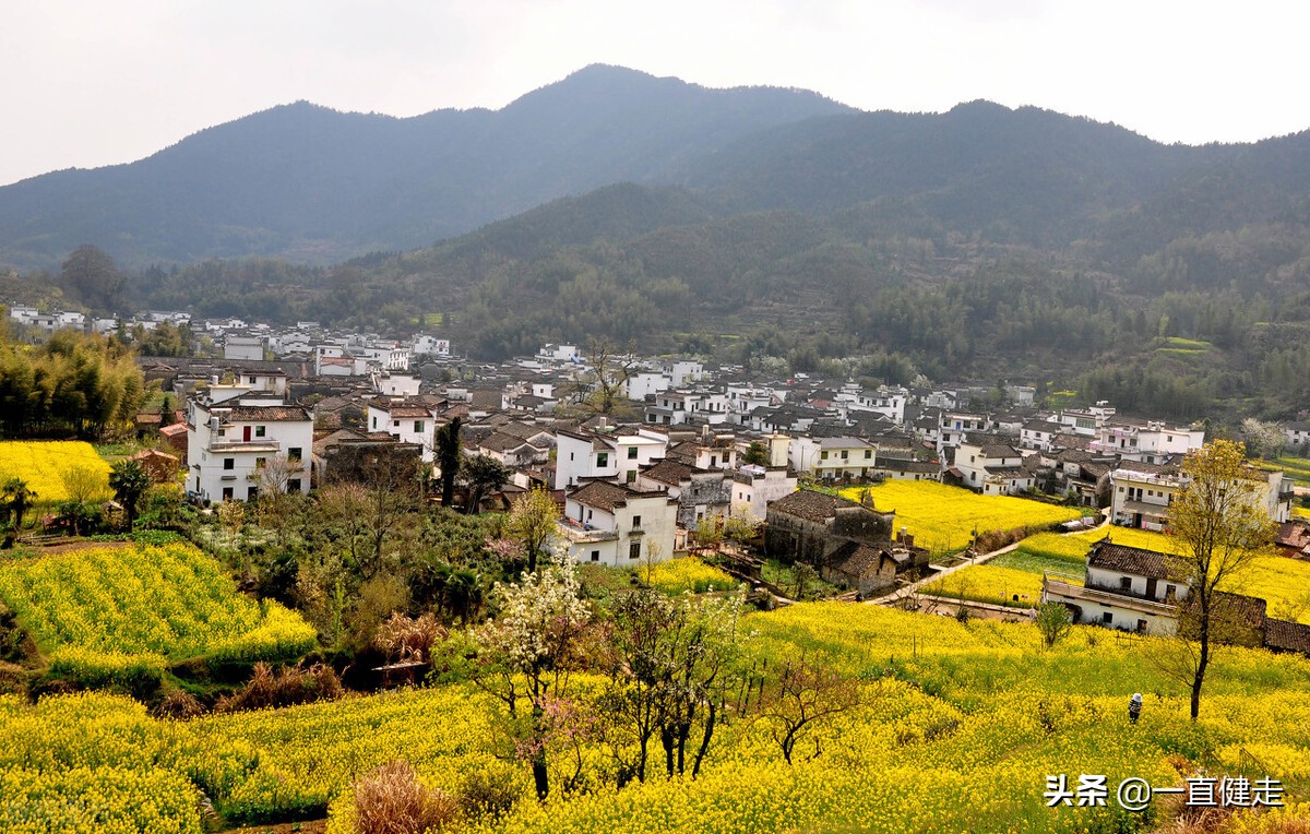 可怕的谣言小说,谣言的危险小说