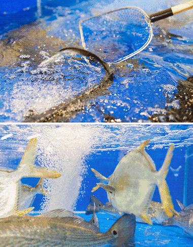 阳光沙滩海浪去玩水,天气热了到海边走走