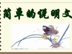 说明文写作思路反思,事物说明文咋写