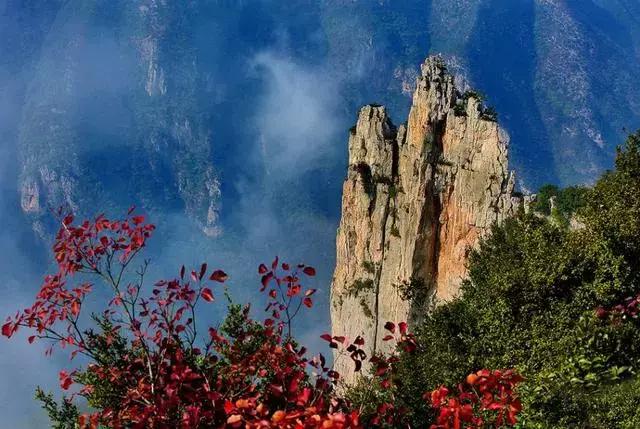 比光雾山还红，比金川彩林还晚，中国顶级的红叶盛宴正当时！