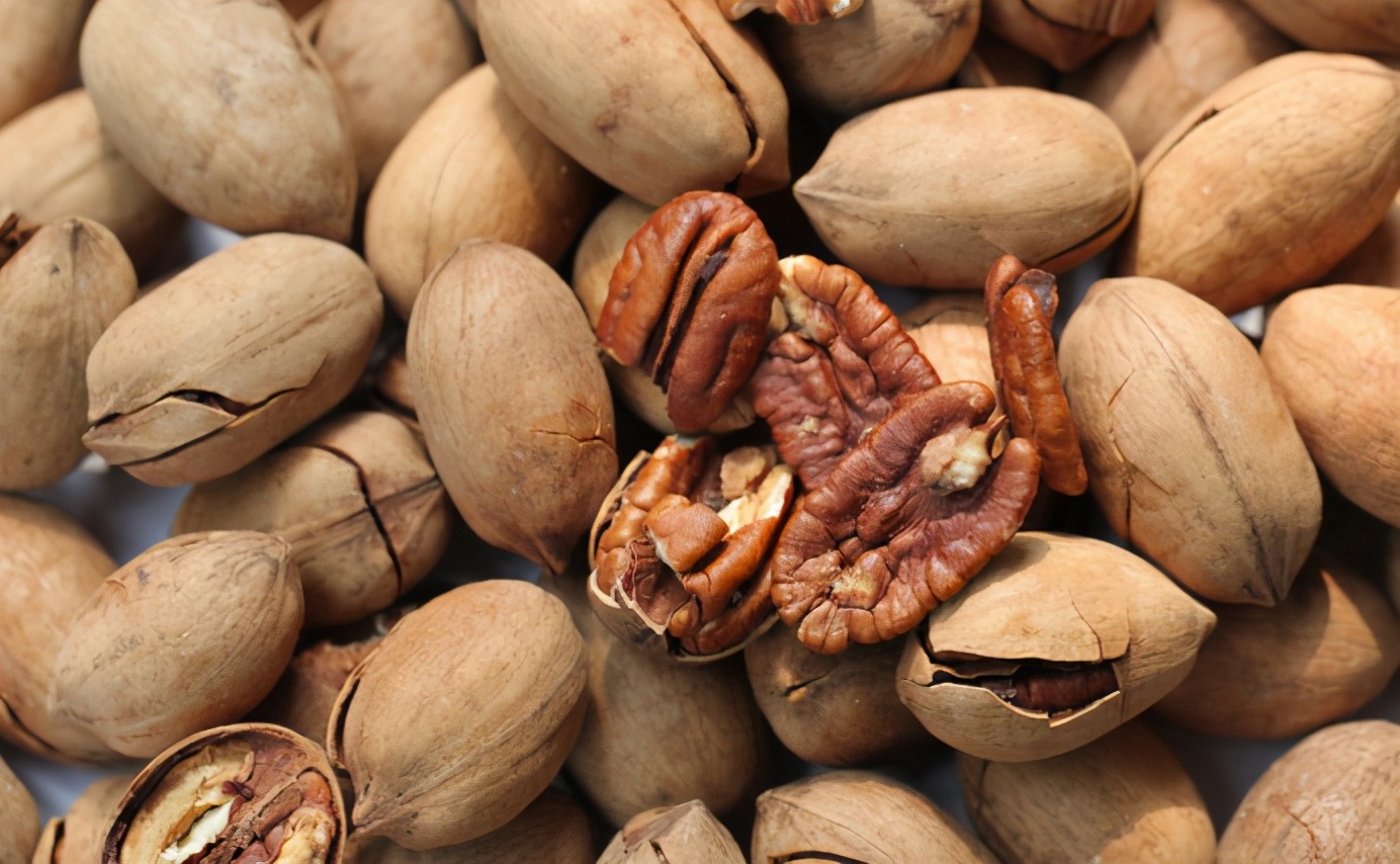 百种果子简介,百种果实图片