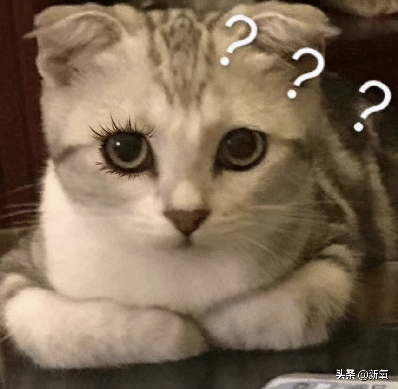 宋祖儿港风绝美照片,宋祖儿侧颜简直太美啦