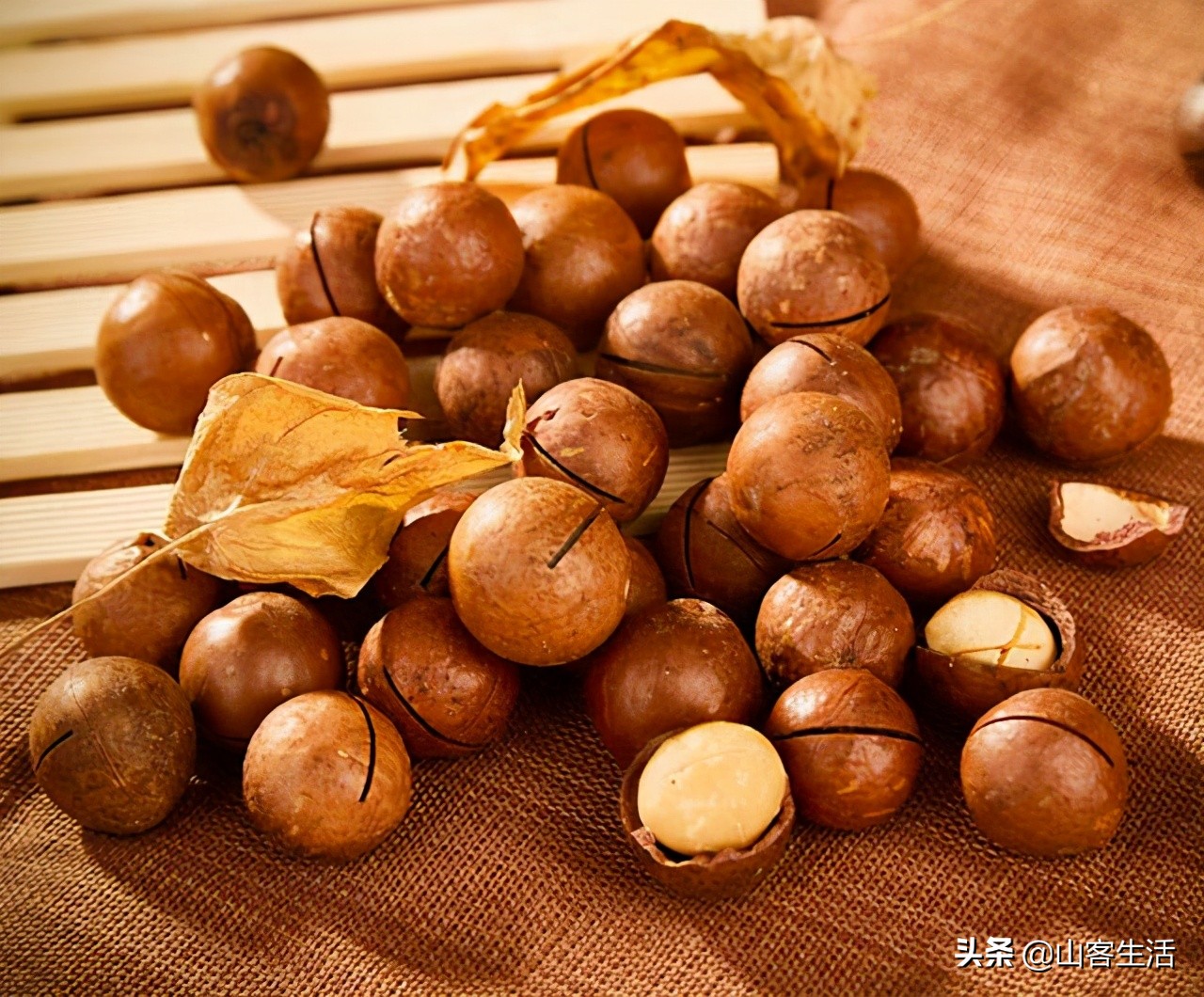 山客生活加盟可靠吗,山客生活怎么加盟