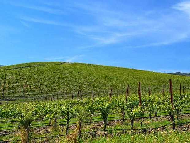 他的随手一拍，却被微软花1400万买下，堪称史上最贵照片