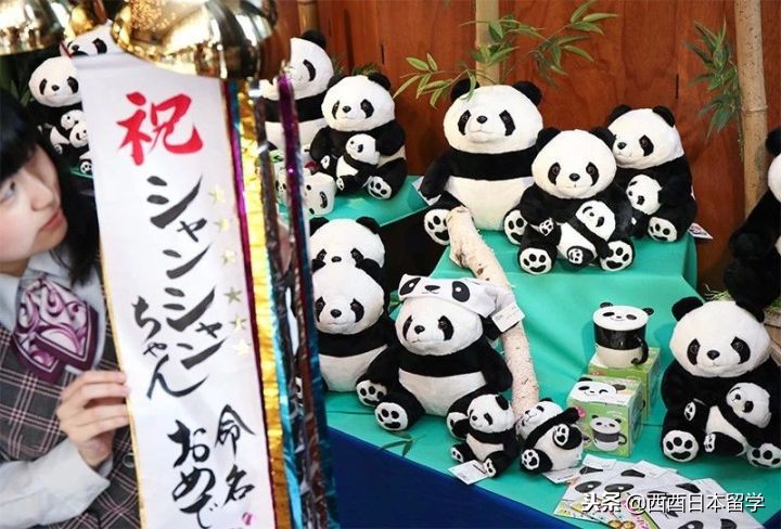 为什么日本的和尚能结婚生子 (日本和尚为什么能结婚)