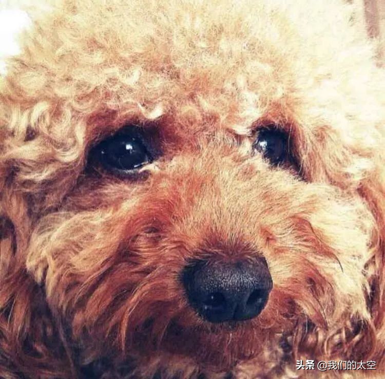 太空是什么色的,太空是什么东西